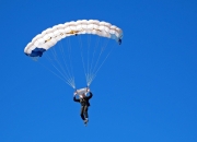 塔图姆新星连败表现惊艳，巴黎圣日耳曼未来可期！